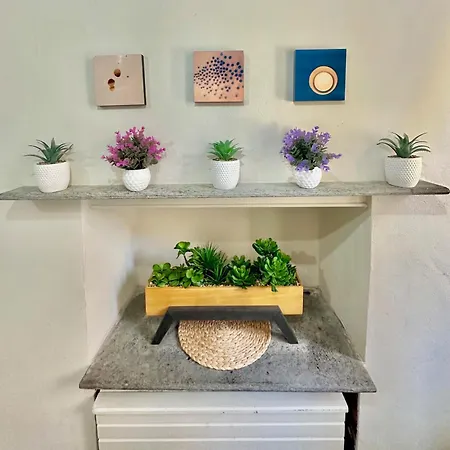 *petit Maison* Centro, Garibaldi