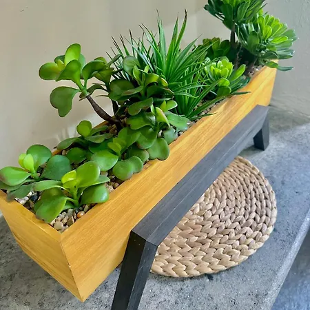 公寓 *petit Maison* Centro, Garibaldi *